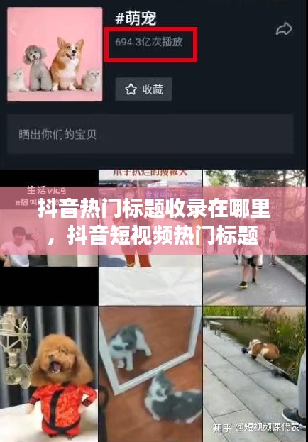 抖音热门标题收录在哪里，抖音短视频热门标题 