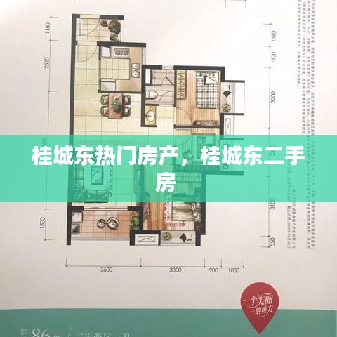 桂城东热门房产，桂城东二手房 