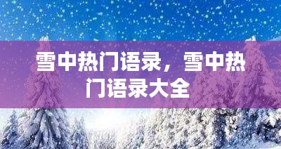 雪中热门语录，雪中热门语录大全 