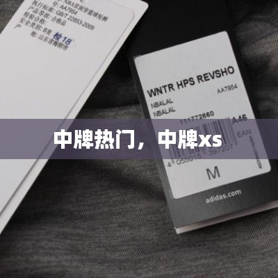 中牌热门，中牌xs 