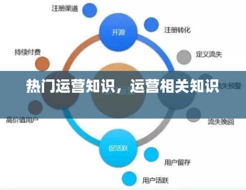 热门运营知识，运营相关知识 