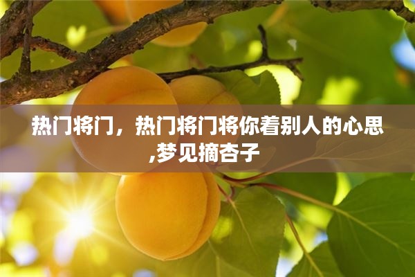 热门将门，热门将门将你着别人的心思,梦见摘杏子 