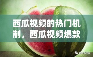 西瓜视频的热门机制，西瓜视频爆款 