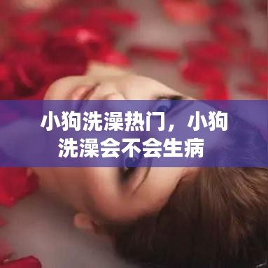 小狗洗澡热门，小狗洗澡会不会生病 