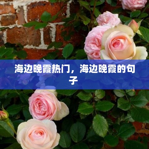 海边晚霞热门，海边晚霞的句子 