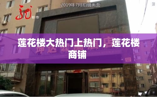志在四方 第3页