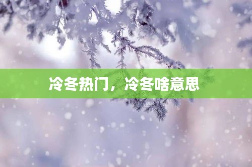 冷冬热门，冷冬啥意思 
