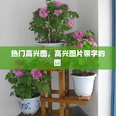 热门高兴图，高兴图片带字的图 