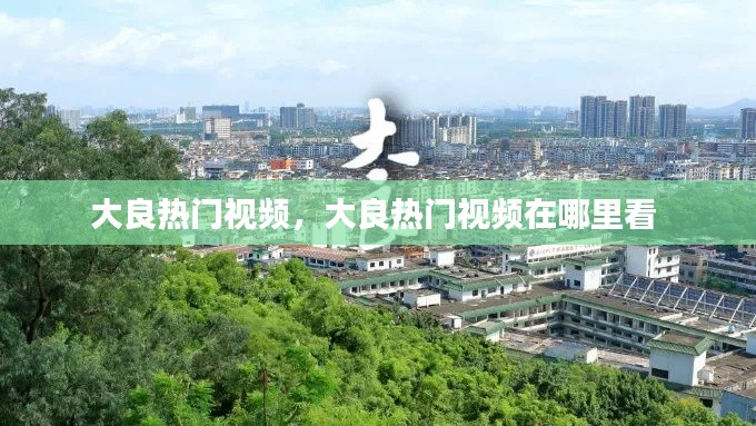 大良热门视频，大良热门视频在哪里看 
