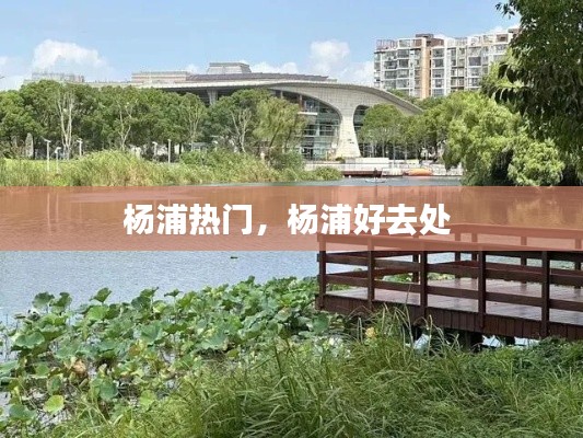 杨浦热门，杨浦好去处 