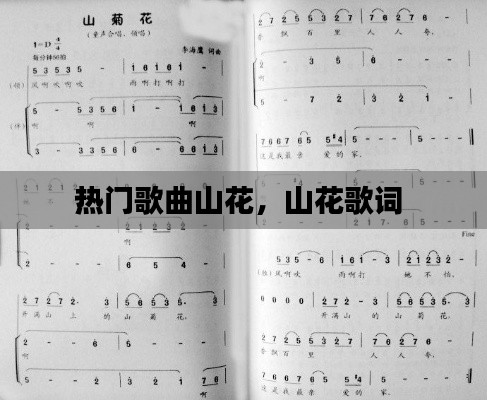 热门歌曲山花，山花歌词 