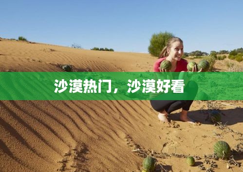沙漠热门，沙漠好看 