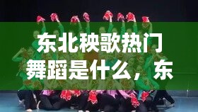 东北秧歌热门舞蹈是什么，东北秧歌舞蹈动律组合视频 