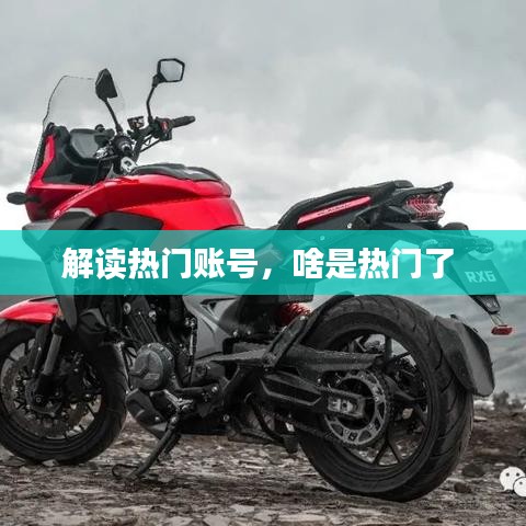 解读热门账号，啥是热门了 