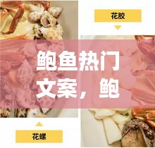 鲍鱼热门文案，鲍鱼朋友圈句子 