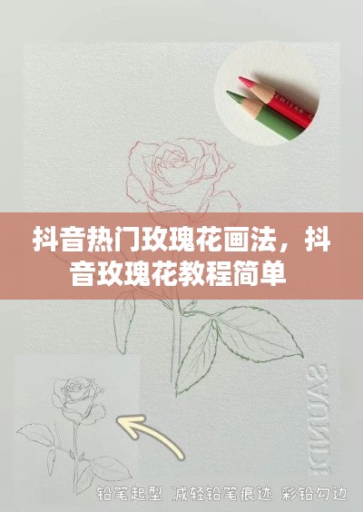 半截鸟木 第2页