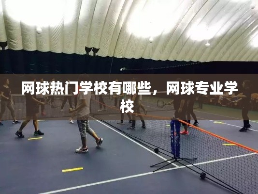 网球热门学校有哪些，网球专业学校 