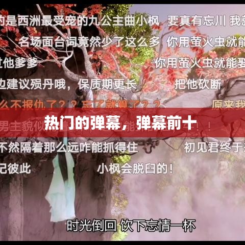热门的弹幕，弹幕前十 