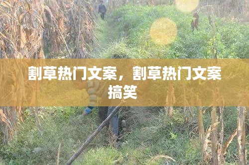 割草热门文案，割草热门文案搞笑 
