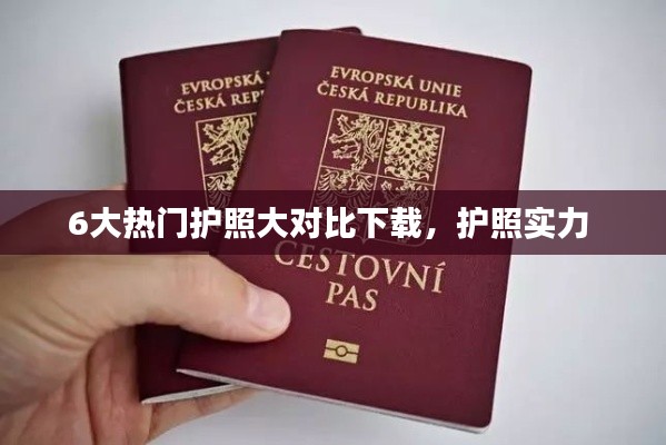 6大热门护照大对比下载，护照实力 