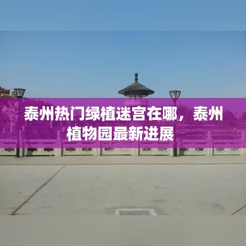 泰州热门绿植迷宫在哪，泰州植物园最新进展 