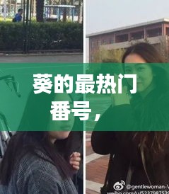 葵的最热门番号， 