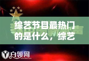 综艺节目最热门的是什么，综艺热门推荐 