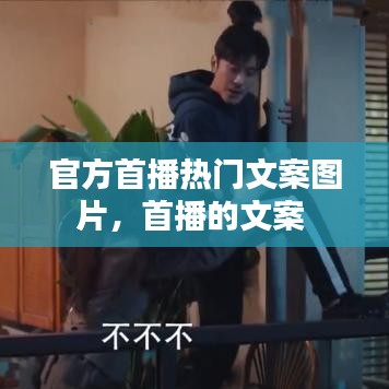 第1077页