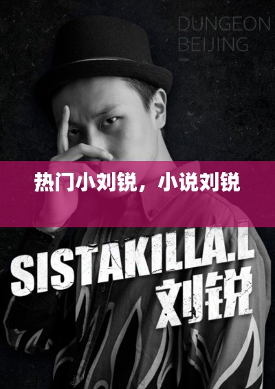 热门小刘锐，小说刘锐 