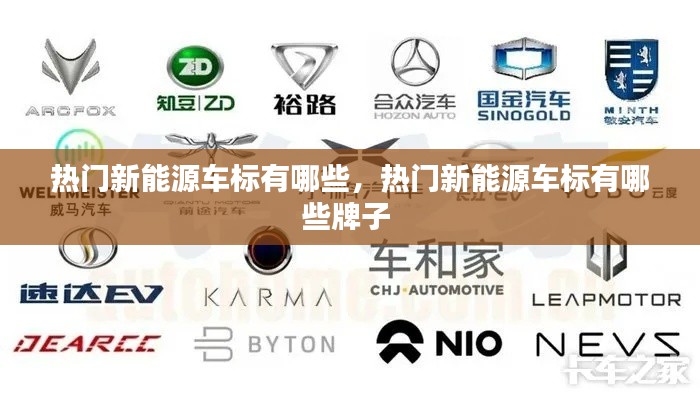 热门新能源车标有哪些，热门新能源车标有哪些牌子 