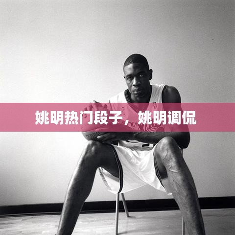 姚明热门段子，姚明调侃 