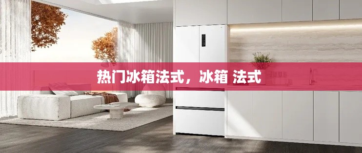 热门冰箱法式，冰箱 法式 