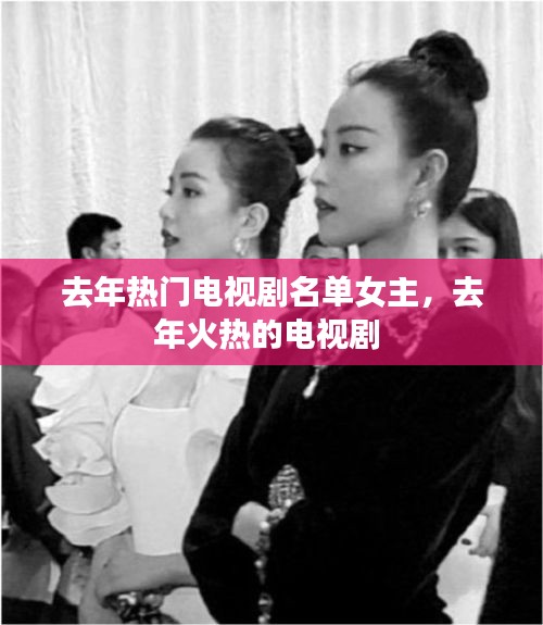 去年热门电视剧名单女主，去年火热的电视剧 