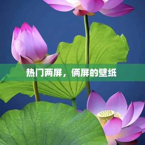 热门两屏，俩屏的壁纸 