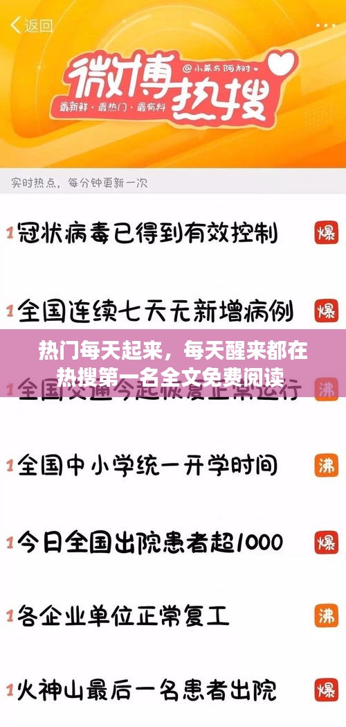 热门每天起来，每天醒来都在热搜第一名全文免费阅读 
