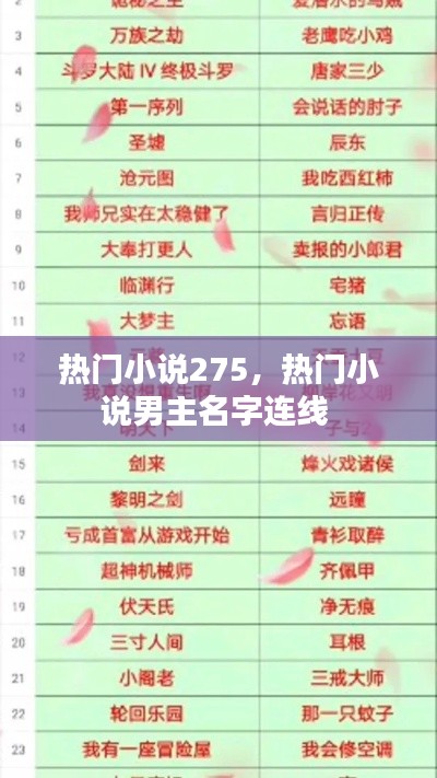 热门小说275，热门小说男主名字连线 
