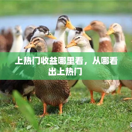 上热门收益哪里看，从哪看出上热门 
