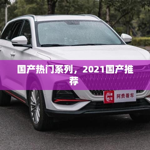 国产热门系列，2021国产推荐 