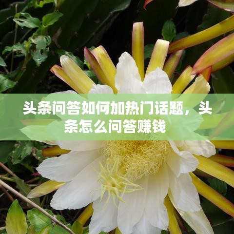 头条问答如何加热门话题，头条怎么问答赚钱 