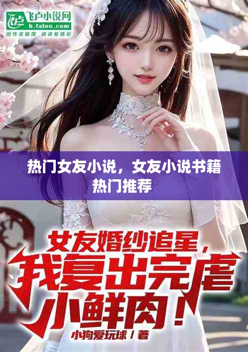 热门女友小说，女友小说书籍热门推荐 