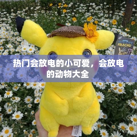 热门会放电的小可爱，会放电的动物大全 