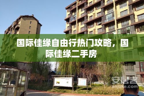 炊粱跨卫 第3页