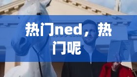 热门ned，热门呢 