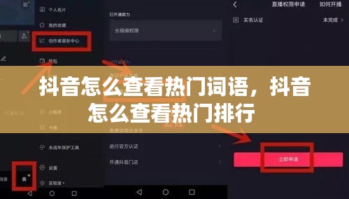 抖音怎么查看热门词语，抖音怎么查看热门排行 