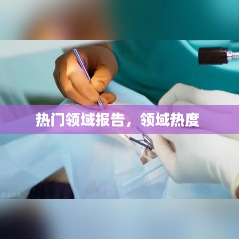 热门领域报告，领域热度 