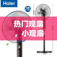 热门观扇，小观扇厂 