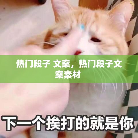 热门段子 文案，热门段子文案素材 
