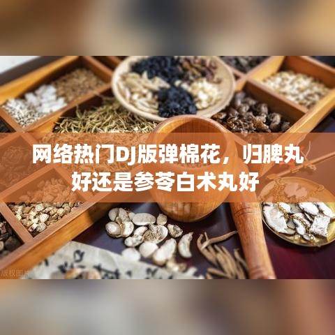 网络热门DJ版弹棉花，归脾丸好还是参苓白术丸好 