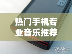 第1009页