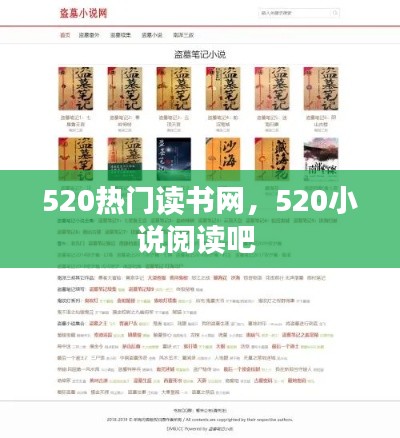 520热门读书网，520小说阅读吧 